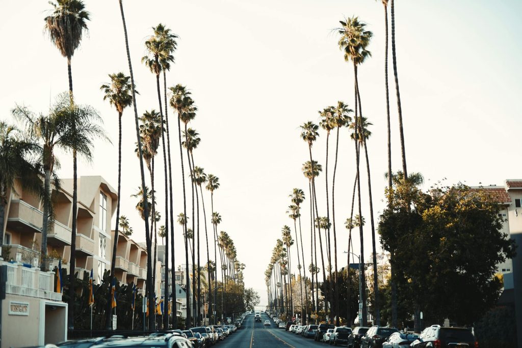 Cali