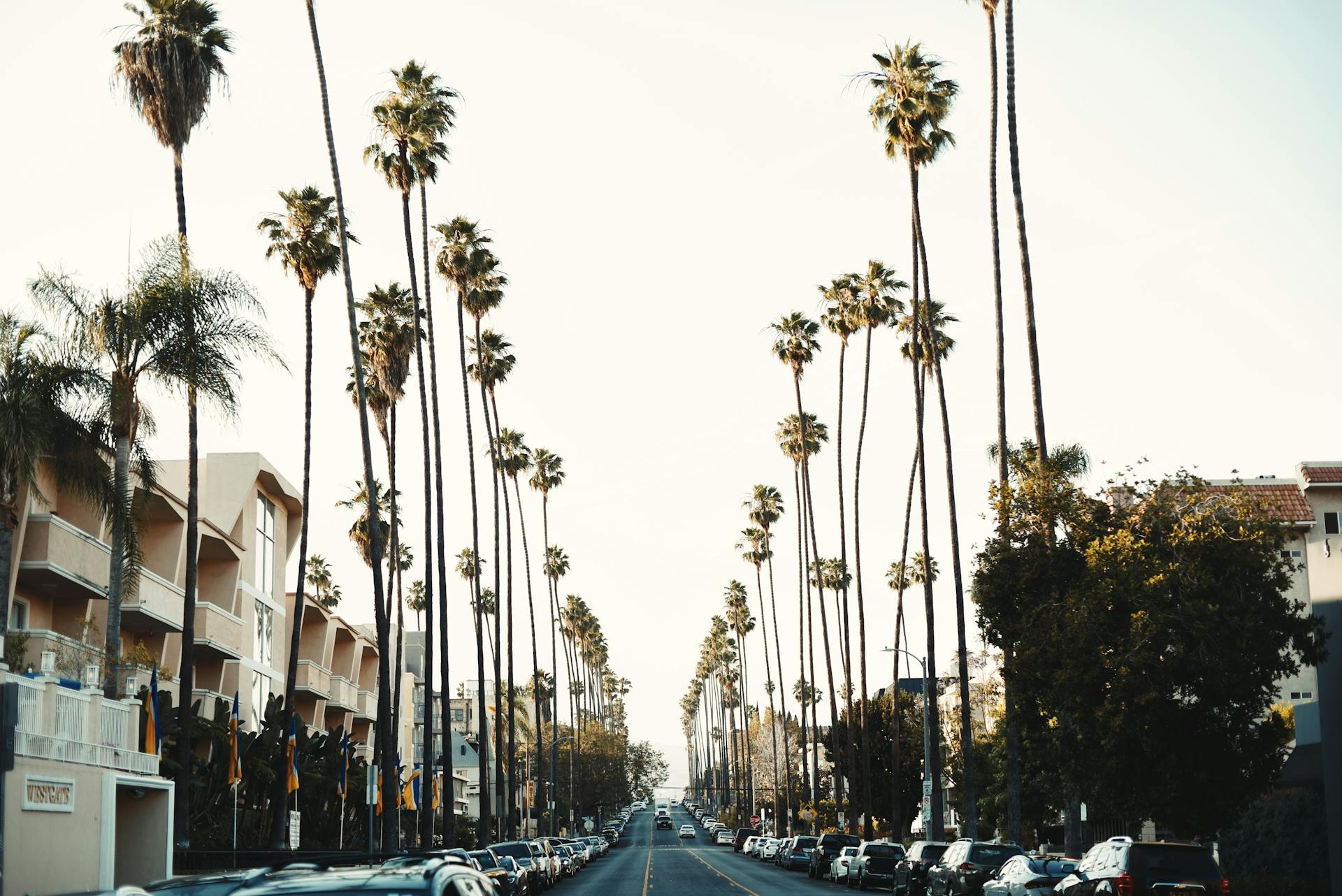 Cali